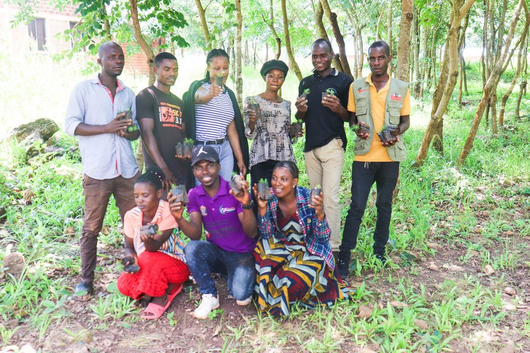 Kasulu Youth Hub’s Tree-Planting Initiative: Fostering Environmental Conservation and Education
